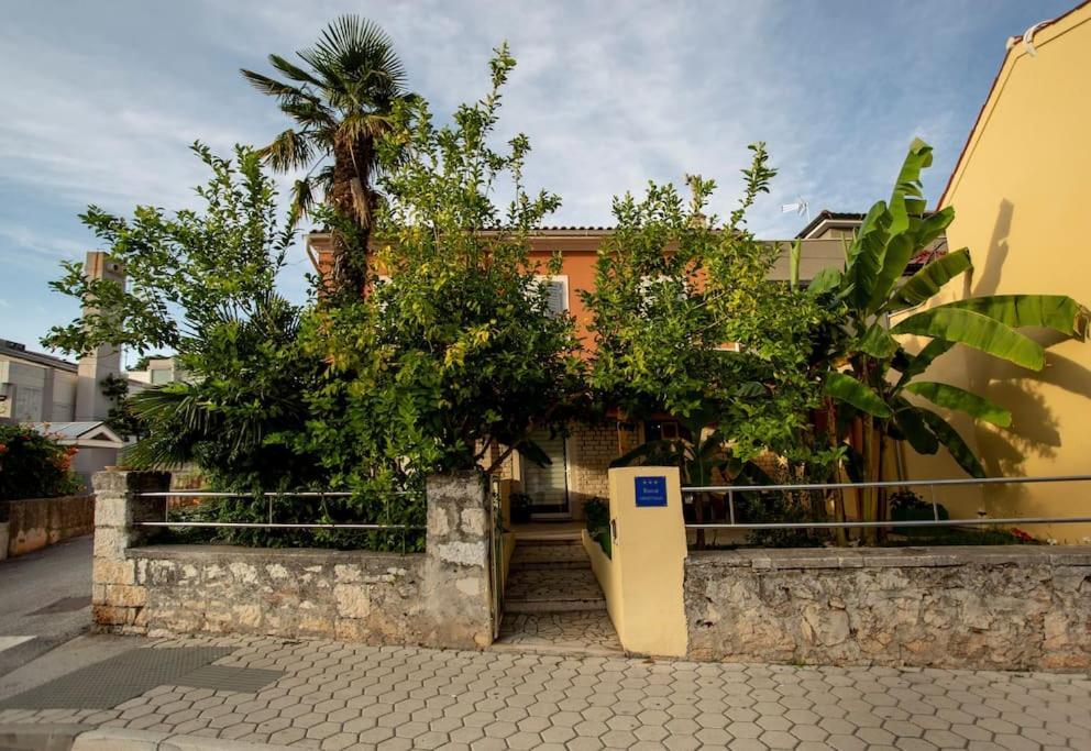 Apartman Den,Rovinj Oaza U Centru Grada I Besplatnim Parkingom Lägenhet Exteriör bild