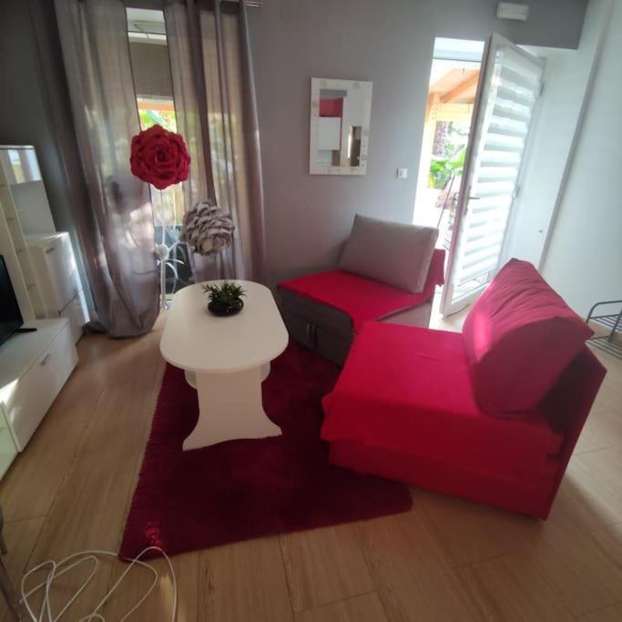 Apartman Den,Rovinj Oaza U Centru Grada I Besplatnim Parkingom Lägenhet Exteriör bild